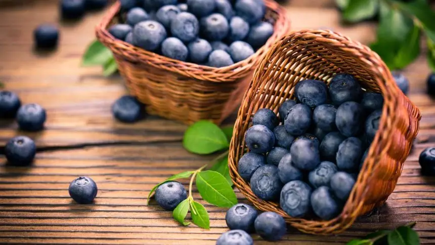 8 benefits of blueberries for your skin that you shouldn't miss