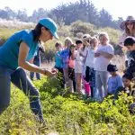 School children harvest about nutrition, environment and science by spending time on the farm