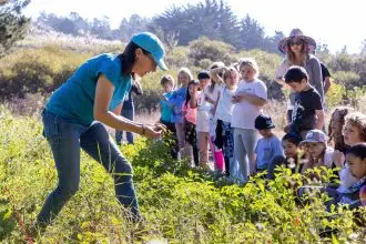 School children harvest about nutrition, environment and science by spending time on the farm