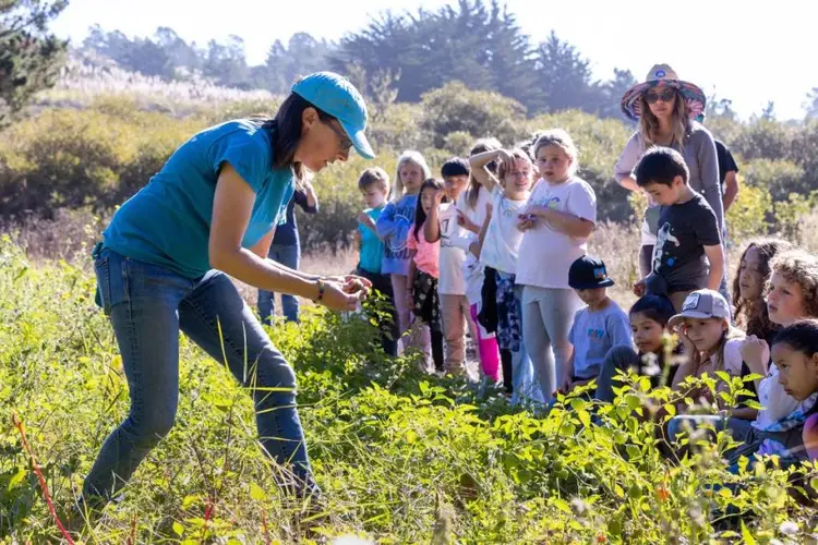 School children harvest about nutrition, environment and science by spending time on the farm