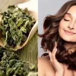 Green tea for hair: 7 amazing ways to benefit your hair