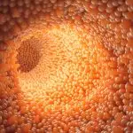 Could intestinal procedures be the future of type 2 diabetes treatment?