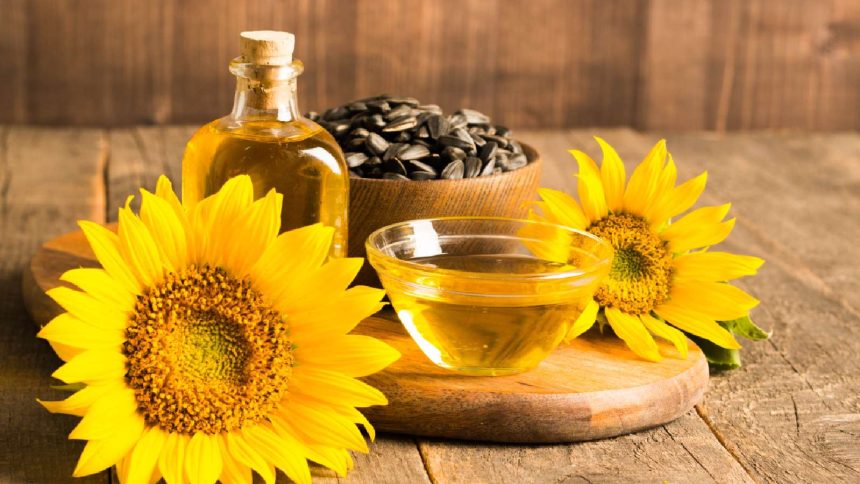 Sunflower oil for cooking: Know the benefits and 7 options to promote heart health