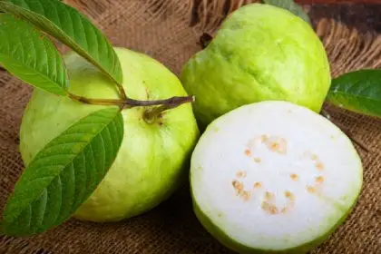 Guava for skin: 8 reasons to add this fruit to your beauty routine