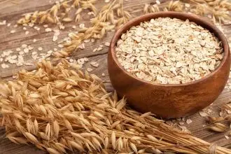 True Elements vs. Yogabar: Which brand of oats is best for weight loss?