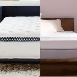 The image shows the WinkBed mattress on the left and the Purple Plus mattress on the right in a side by side comparison