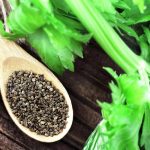 Celery seed benefits