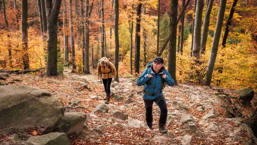 Have you tried walking uphill to lose weight? Four Ways That Help You Regain the Shape