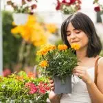 National Dengue Day 2025: 9 Plants to Repel Mosquitoes