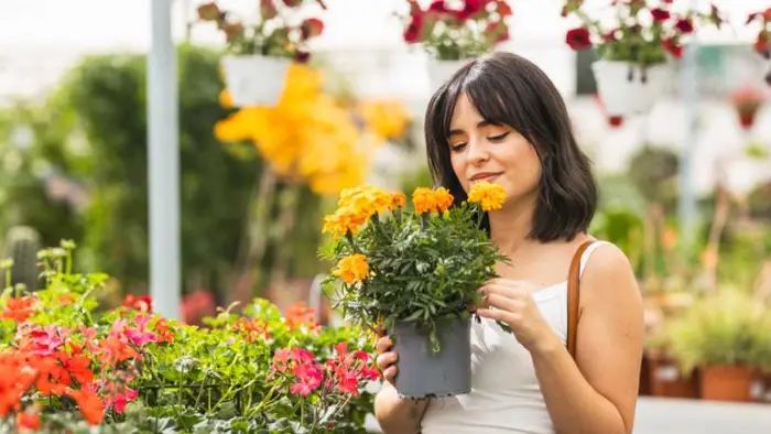 National Dengue Day 2025: 9 Plants to Repel Mosquitoes