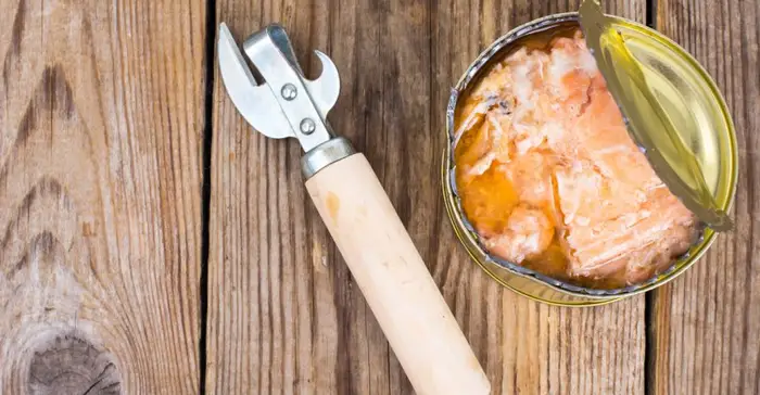 12 Must-see Facts About Canned Salmon for Healthy Foods