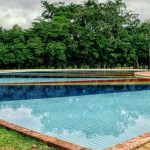 12 Creative Ways to Change Your Garden with Pool Landscaping