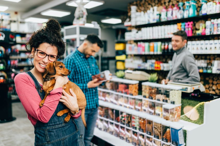 Top 11 Low-Cost Pet Essentials All Pet Enthusiasts Need