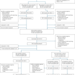 Full-spectrum extracts from cannabis sativa dkj127 for chronic low back pain: a phase 3 randomized placebo controlled trial