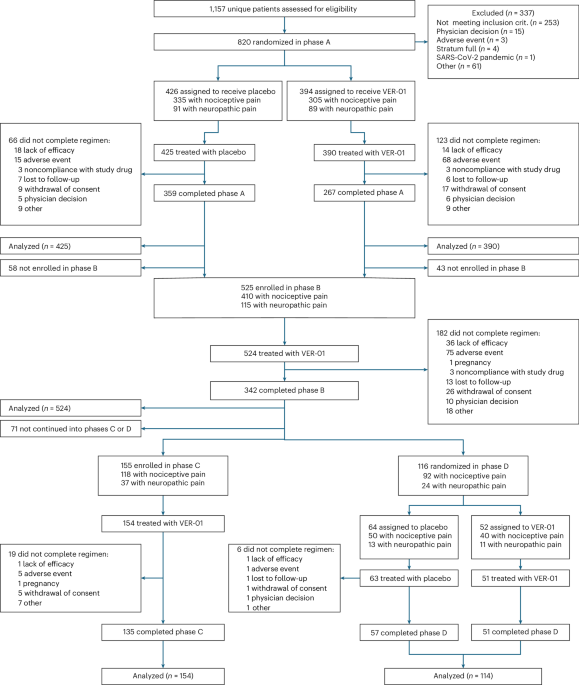 Full-spectrum extracts from cannabis sativa dkj127 for chronic low back pain: a phase 3 randomized placebo controlled trial