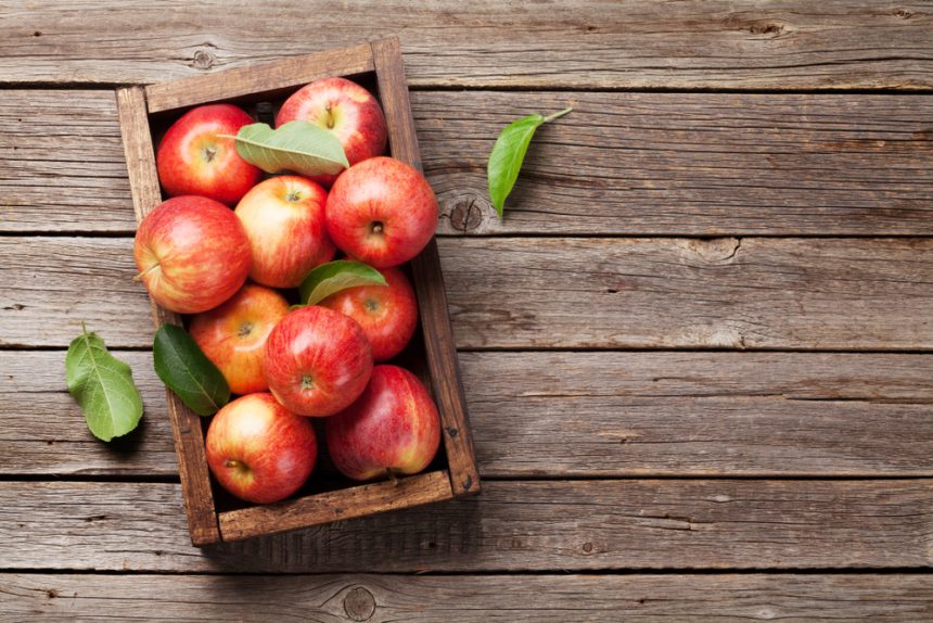 Immune boosting foods that are ideal for autumn