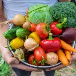 16 seasonal super foods to add to your diet this fall