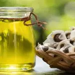 Can moringa oil promote hair growth? Know its 5 benefits for your hair and scalp health