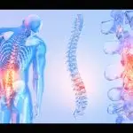 Illustration of the back of a person