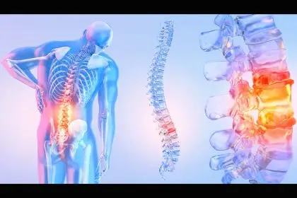 Illustration of the back of a person