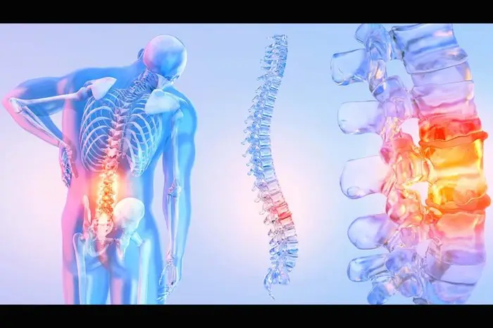 Illustration of the back of a person