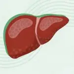 What Is Metabolic Dysfunction–Associated Steatohepatitis (MASH)?