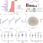 Temporary nutritional analysis links diet regularity and quality with diversity in intestinal microbiome: insights from food and your digital cohort